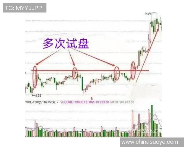 浙江二十选五走势图分析与预测技巧分享助你轻松掌握选号秘诀